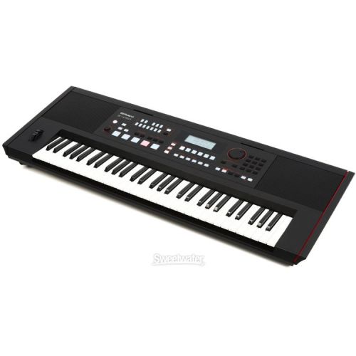 롤랜드 Roland E-X50 61-key Arranger - Black