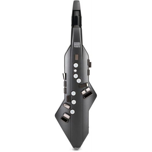 롤랜드 Roland Aerophone GO Digital Wind Instrument