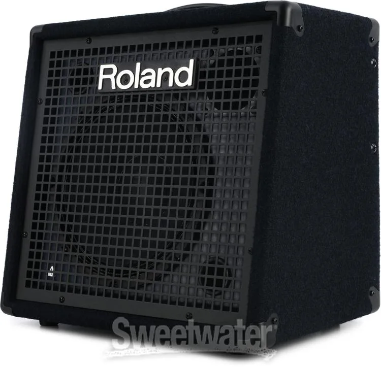 롤랜드 Roland KC-80 - 50W 10