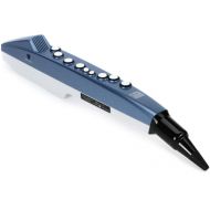 Roland Aerophone AE-01 Mini Digital Wind Instrument