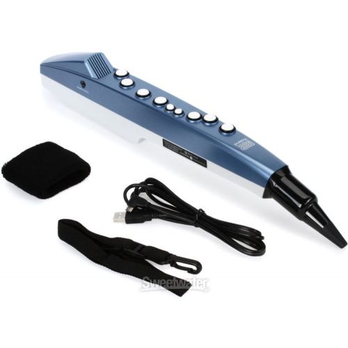 롤랜드 Roland Aerophone AE-01 Mini Digital Wind Instrument