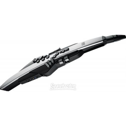 롤랜드 Roland Aerophone Pro AE-30 Digital Wind Instrument - Silver