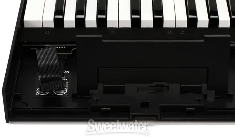 롤랜드 Roland K-25m Boutique Series Keyboard Unit with Decksaver Cover