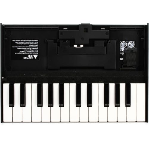 롤랜드 Roland K-25m Boutique Series Keyboard Unit with Decksaver Cover