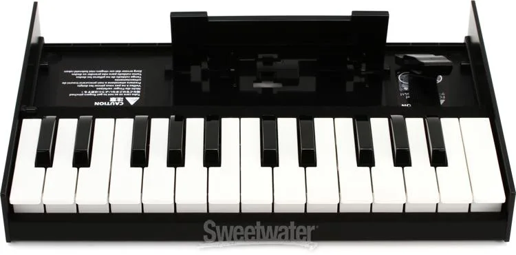 롤랜드 Roland K-25m Boutique Series Keyboard Unit