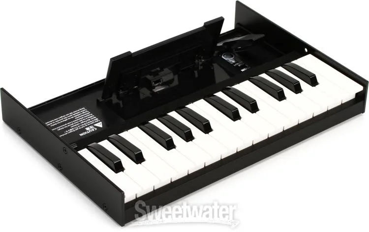 롤랜드 Roland K-25m Boutique Series Keyboard Unit