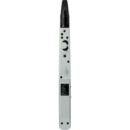 롤랜드 Roland Aerophone Mini Digital Wind Instrument