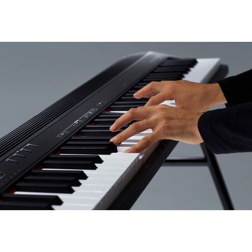 롤랜드 [아마존베스트]Roland GO:PIANO 88-Key Full Size Portable Digital Piano Keyboard with Onboard Bluetooth Speakers (GO-88P)