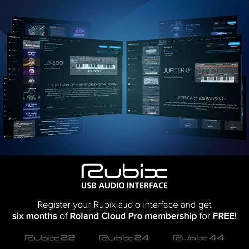 롤랜드 [아마존베스트]Roland RUBIX22 2-IN/2-OUT High Resolution Audio Interface - Studio Quality Sound to Take Away