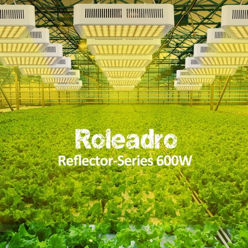  [아마존 핫딜]  [아마존핫딜]Grow Light, Roleadro 600W Full Spectrum LED Grow Lights for Indoor Plants, 3500k Sunlike Plant Light with Dual-Chip Adjustable Rope, Daisy Chain, with ON/Off Switch for Seedings Ve