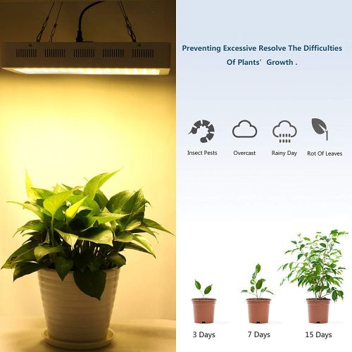  [아마존 핫딜]  [아마존핫딜]Roleadro 600W LED Grow Light 2nd Generation Series Plant Light Full Spectrum with Daisy Chain for Indoor, Greenhouse, Hydroponics Veg and Bloom