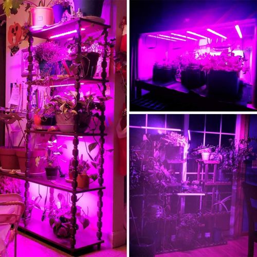  Roleadro Led Grow Light Strips for Indoor Plants, Full Spectrum Auto On & Off 60W Grow Lamp with Timer/Extension Cables Plant Lights Bar 4 Dimmable Levels for Indoor Plants Tent Seedling Hy