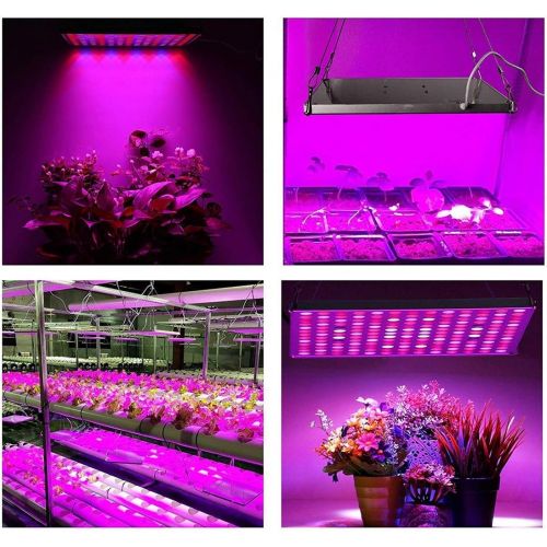  LED Grow Light, Roleadro 75W Grow Light for Indoor Plants Full Spectrum Plant Light for Seedling, Hydroponic, Greenhouse, Succulents, Flower
