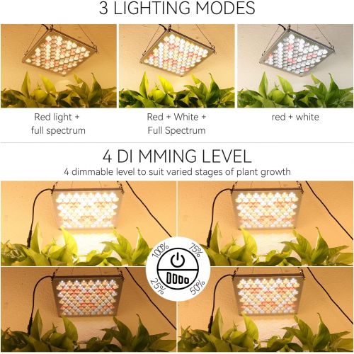  Roleadro Grow Light 75W Full Spectrum Led Plant Light 3500K Sunlike Plant lamp Bulbs for Indoor Plants Hydroponics Vegetables Flowers from Seedlings to Flowering & Fruiting -Red&Blue