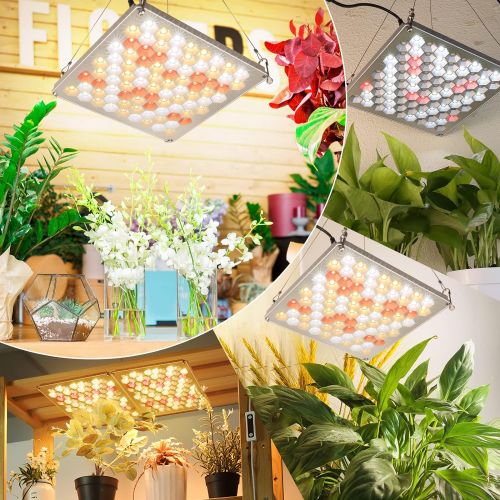  Roleadro Grow Light 75W Full Spectrum Led Plant Light 3500K Sunlike Plant lamp Bulbs for Indoor Plants Hydroponics Vegetables Flowers from Seedlings to Flowering & Fruiting -Red&Blue