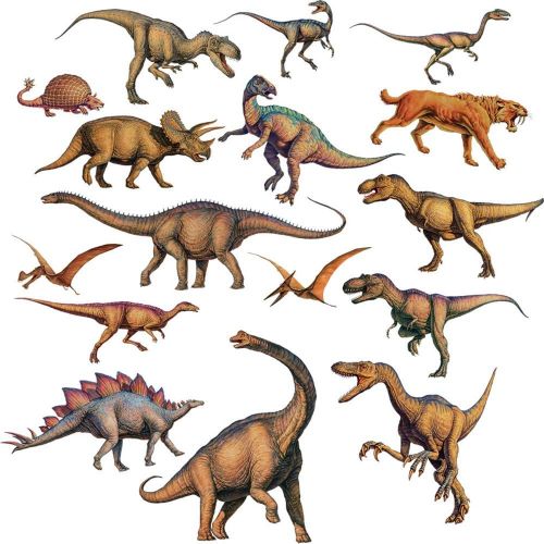  RoomMates RMK1043SCS Dinosaurs Peel and Stick Wall Decals ,Multicolor