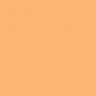 Rosco E-Colour #204 Full CT Orange (21 x 24