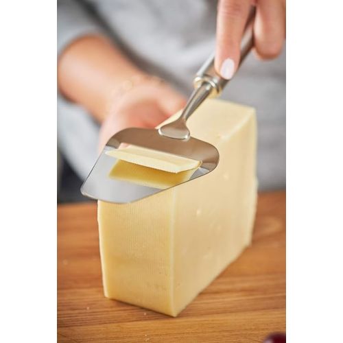  Rosle Stainless Steel Sturdy Cheese Plane, 9.5-inch, Silver