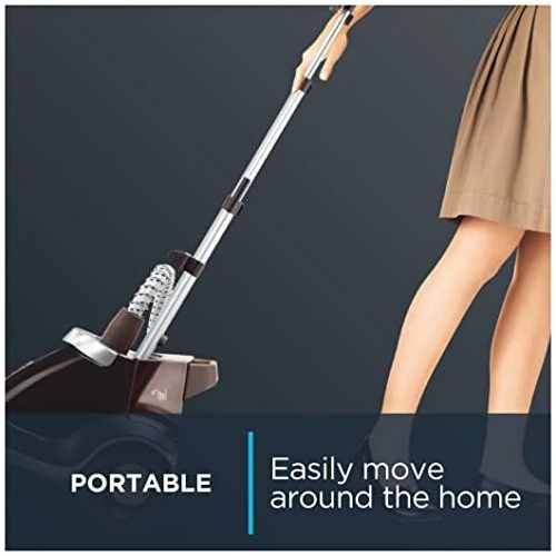  [아마존베스트]Rowenta IS6300 Professional Grade Steamer, Clothes Steamer and Garment Steamer, Built-In Hanger, Brown