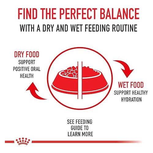  Royal Canin Rottweiler Adult Breed Specific Dry Dog Food, 30 lb bag