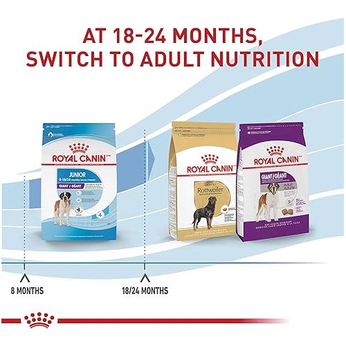  Royal Canin Size Health Nutrition Giant Junior Dry Dog Food, 30 lb bag