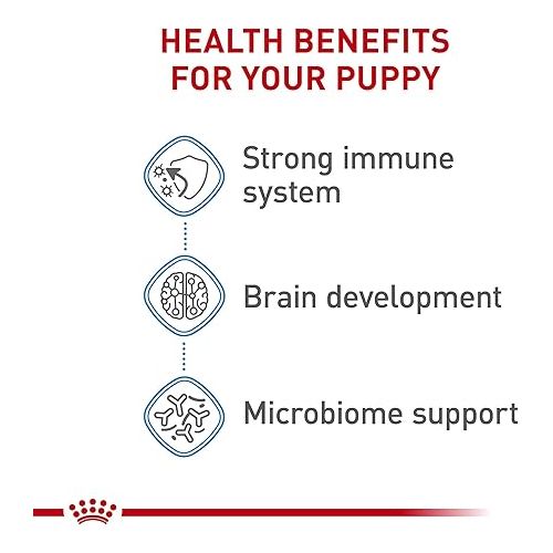  Royal Canin Size Health Nutrition Dry Large Breed Puppy Food, Supports Brain Development, Immune Support and Digestive Health, 30 lb Bag