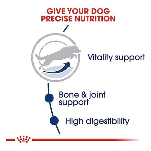  Royal Canin Large Adult 5+ Dry Dog Food for Older Dogs, 30 lb bag
