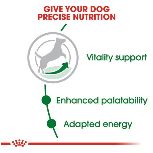  Royal Canin Size Health Nutrition Mini Mature 8+ Dry Dog Food