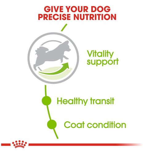  Royal Canin Size Health Nutrition X-Small Aging Dry Dog Food