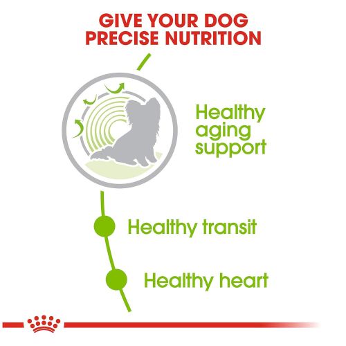  Royal Canin Size Health Nutrition X-Small Aging Dry Dog Food