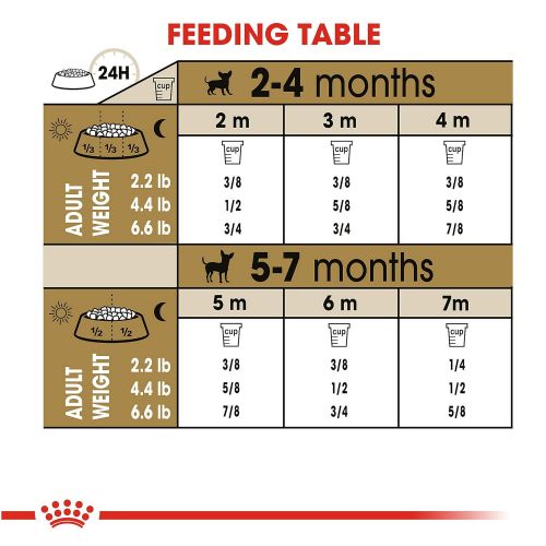  Royal Canin Breed Health Nutrition Chihuahua Puppy Dry Dog Food