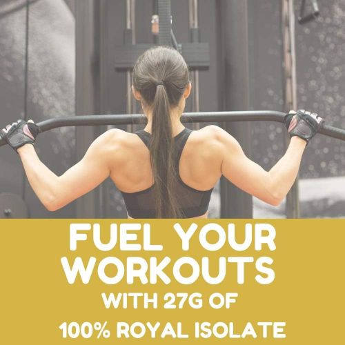  Royal Sports Nutrition Royal Whey Protein Isolate 5lb Chocolate Delight
