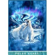 Royal plush Royal Plush Extra Heavy Queen Size Mink Blanket - Polar Bears and Northern Lights (79 x 85)