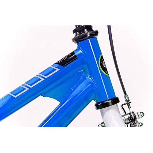  Royalbaby RoyalBaby BMX Freestyle Kids Bike, 12-14-16-18-20 inch wheels, six colors available