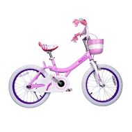 Royalbaby Jenny & Bunny Girls Bike, 12-14-16-18 inch Wheels, Three Colors Available