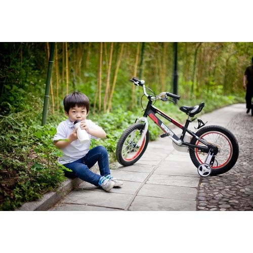  [아마존베스트]Royalbaby Space No. 1 Aluminum Kids Bike, 12-14-16-18 inch wheels, three colors available