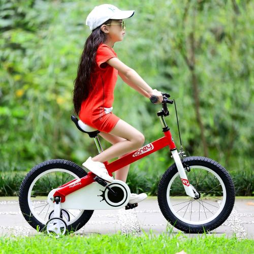  Royalbaby CubeTube Bicycles for Kids