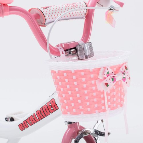  Royalbaby Jenny & Bunny Girls Bike, 12-14-16-18 inch Wheels, Three Colors Available