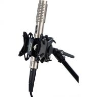 Royer Labs R-122 MKII Active Ribbon Microphone with RSM-SS1 Sling-Shock Shockmount (Nickel)