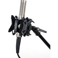 Royer Labs R-121 Ribbon Microphone Bundle with RSM-SS1 Sling-Shock Microphone Shockmount (Nickel)