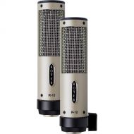 Royer Labs R-10 Hot Rod 25th Anniversary Limited-Edition Studio/Live Ribbon Microphone (Matched Pair)