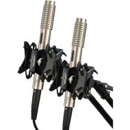 Royer Labs R-122 MKII Matched Pair Active Ribbon Microphone Bundle with Two RSM-SS1 Sling-Shock Shockmounts (Nickel)