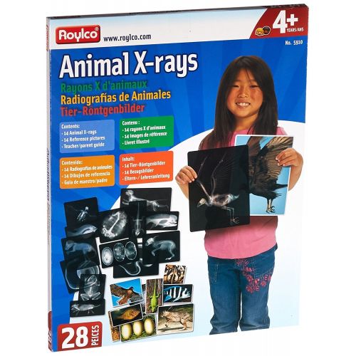  Roylco R5910 Animal X-Rays, 8 x 10, 28 Pieces