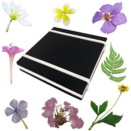  [아마존베스트]Rtree Microwave Flower Press, Leaf Press, Nature Press, Flower Pressing Kit Flower Press Kit Preservation Frame Arrangements Craft Quickly Drying Press Flowers Leaves Plant Foliage