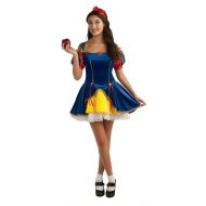 Rubie%27s Rubies Teen Sensations Fairy Tale Princess Costume Dress with Brooch and Headband, Multicolor, Standard