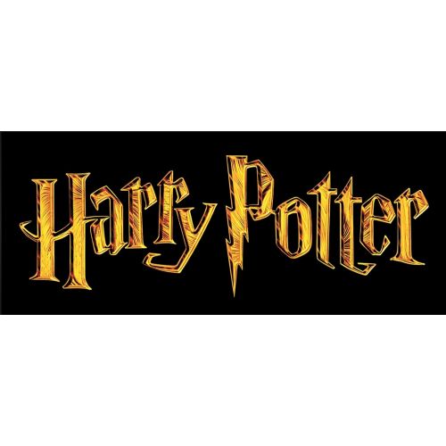  할로윈 용품Rubies Harry Potter Deathly Hallows DLX Harry Robe Costume Adult