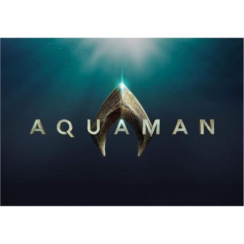  할로윈 용품Rubies Mens Standard Movie Adult Aquaman Deluxe Costume, As Shown