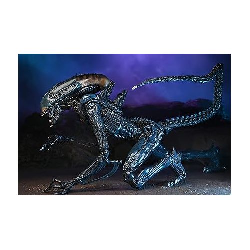  NECA Alien vs Predator 7