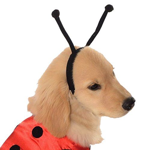  Rubies Pet Costume Ladybug Dress