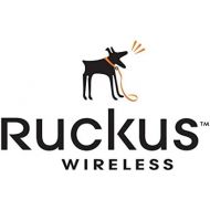 Ruckus Wireless END USER SUPPORT FOR ZF T300 STANDALONE AP 5 YEARS - 806-T300-5000
